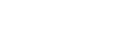 Homero Reis