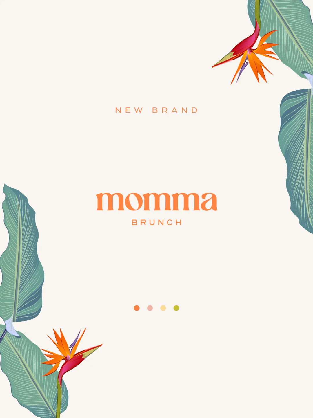 Momma: nova marca aplicada ao dia a dia